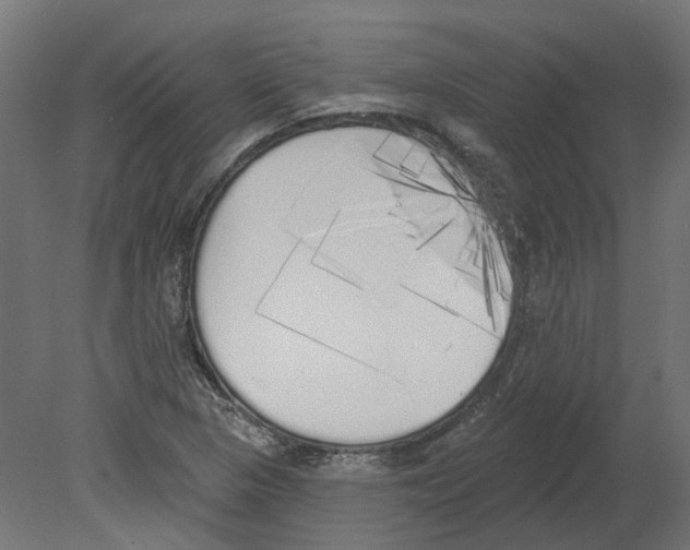 X0000080671313200701121622