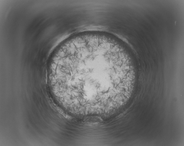 X0000080671317200701121622