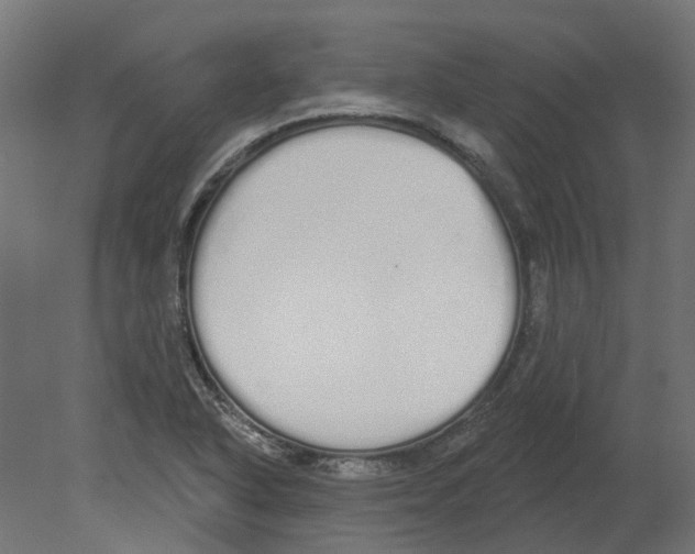 X0000080671318200701121622