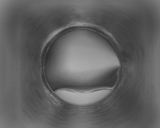 X0000080671319200701121622