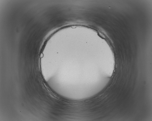 X0000080671320200701121622