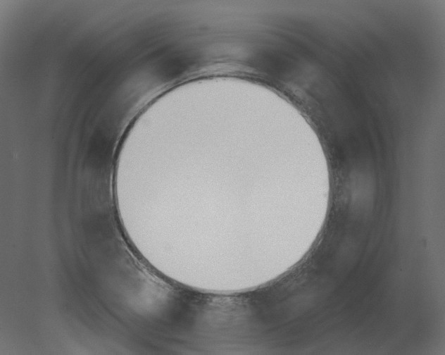 X0000080671322200701121622