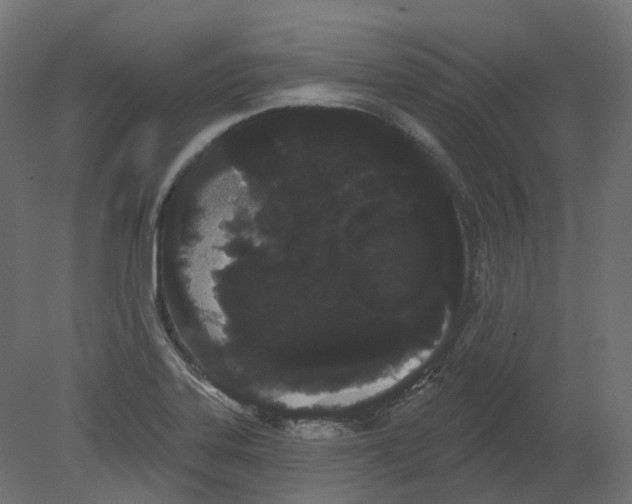 X0000080671323200701121622