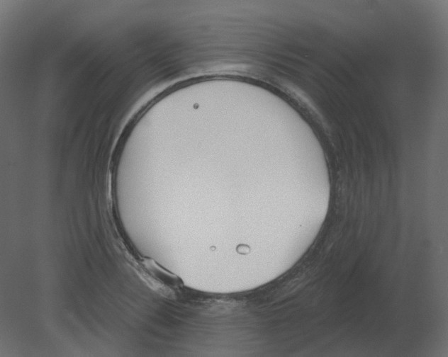 X0000080671324200701121622