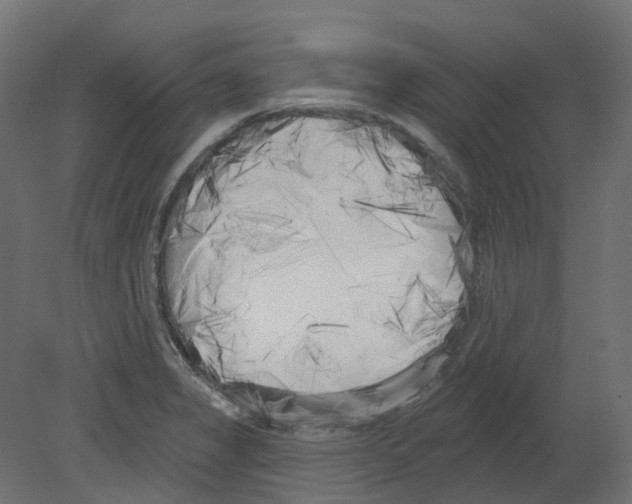 X0000080671325200701121622