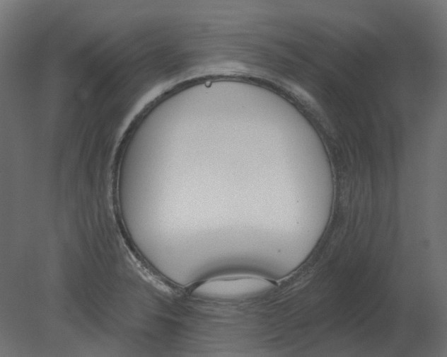 X0000080671326200701121622