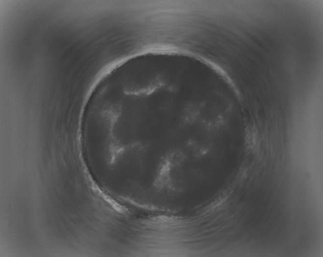 X0000080671327200701121622