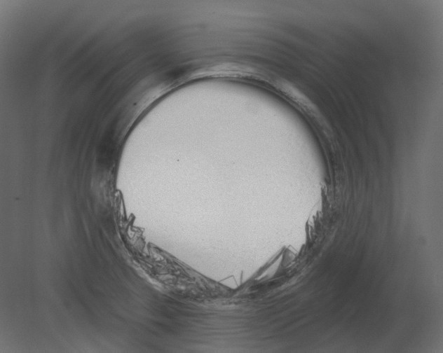 X0000080671329200701121622