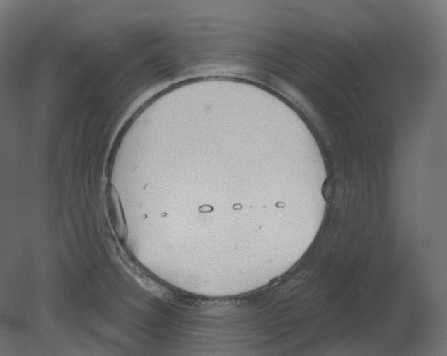 X0000080671332200701121622