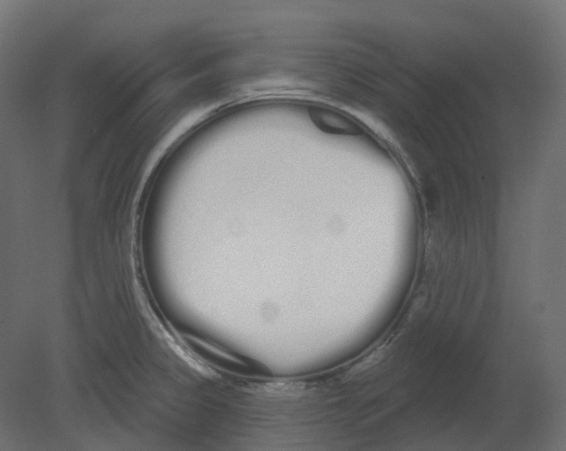 X0000080671333200701121622