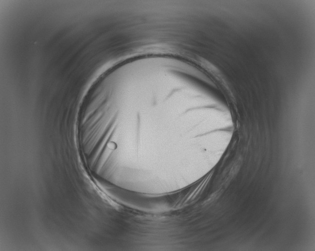 X0000080671334200701121622