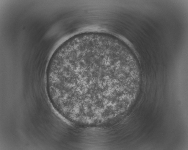 X0000080671335200701121622