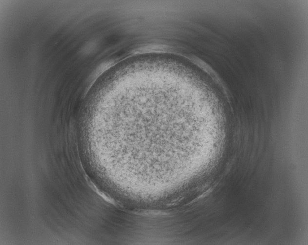 X0000080671337200701121622