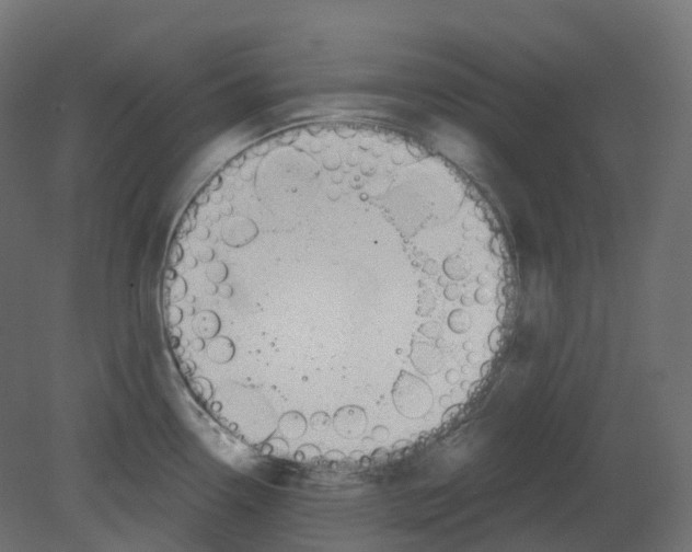 X0000080671338200701121622