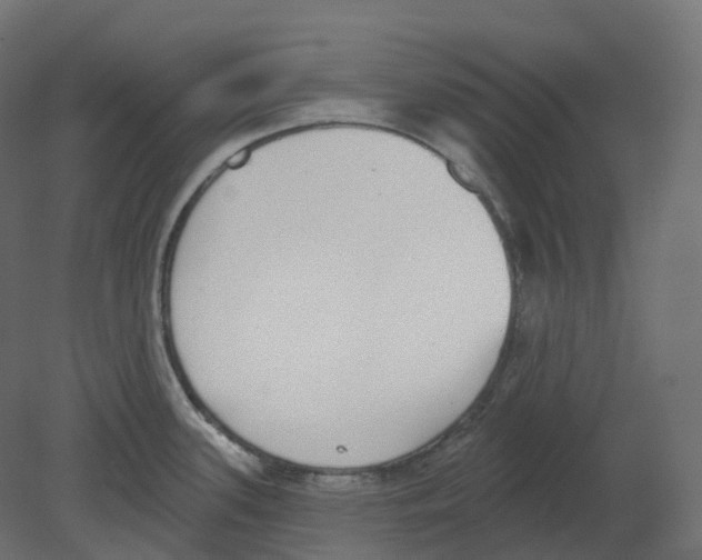 X0000080671339200701121622