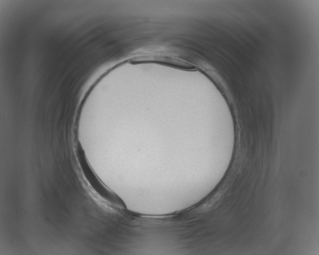 X0000080671344200701121623