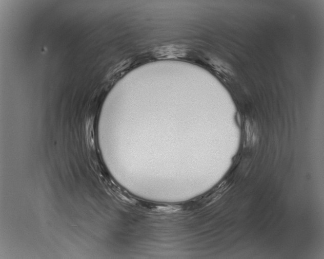 X0000080671346200701121622