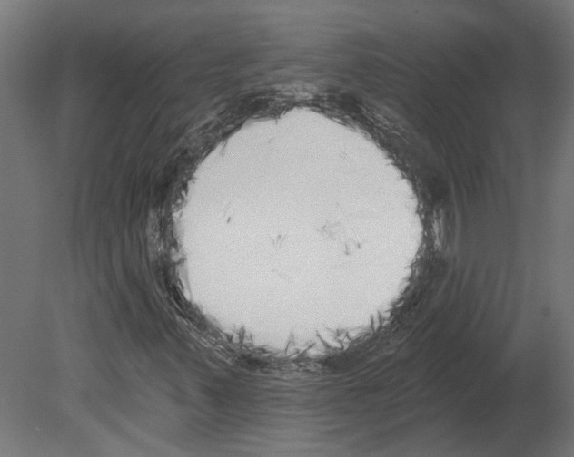 X0000080671347200701121622