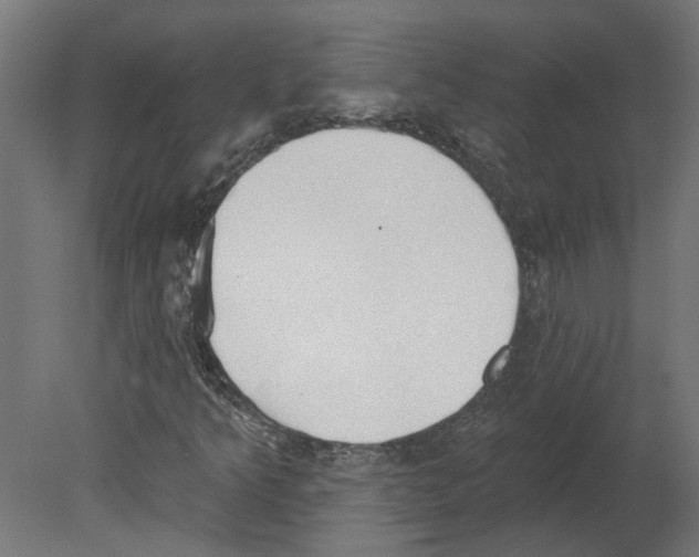 X0000080671349200701121622