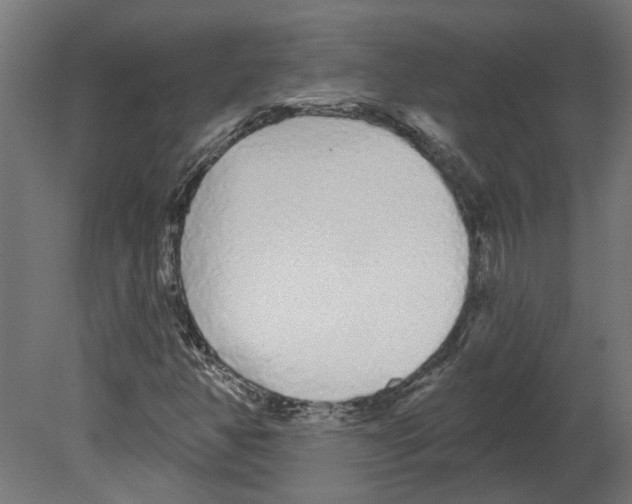 X0000080671350200701121622