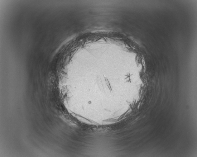 X0000080671351200701121622