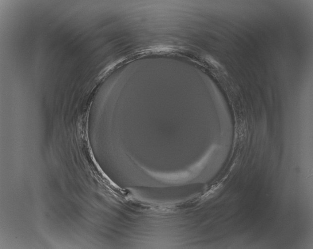 X0000080671353200701121622