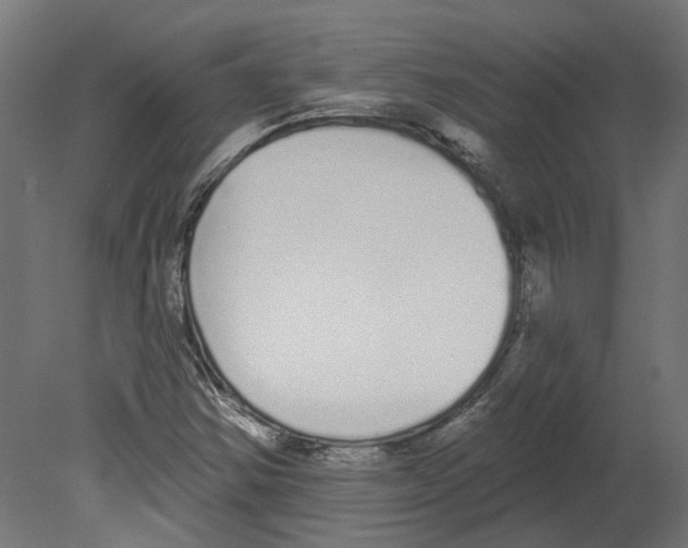 X0000080671354200701121622