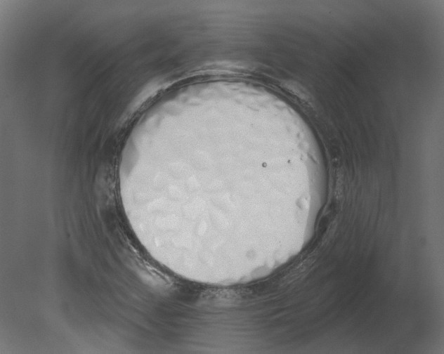 X0000080671355200701121622