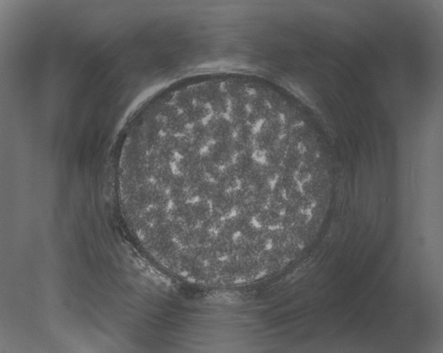 X0000080671358200701121622