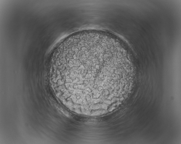 X0000080671359200701121622