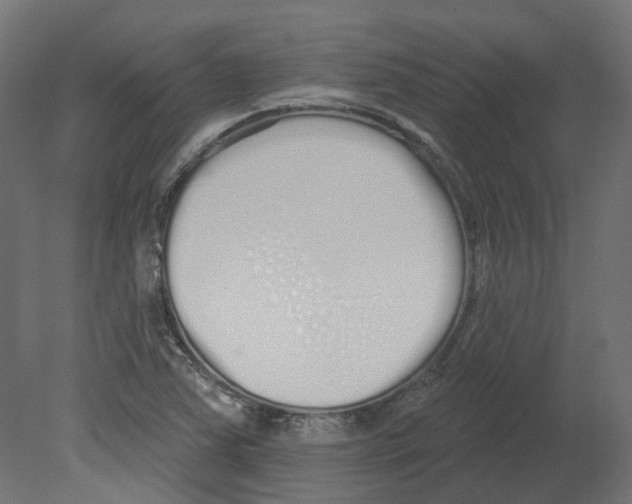 X0000080671363200701121621