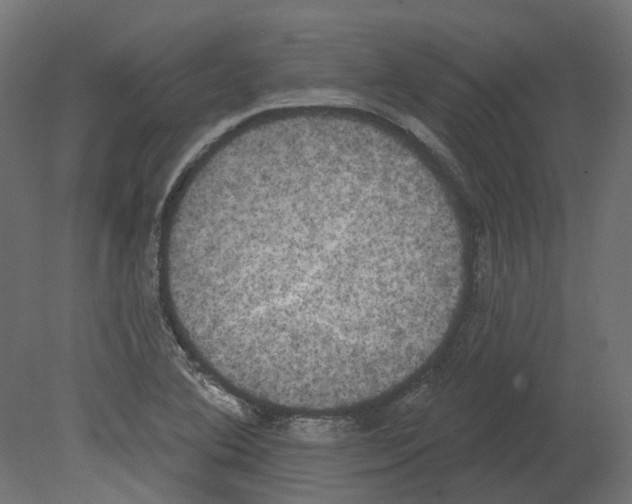 X0000080671364200701121621