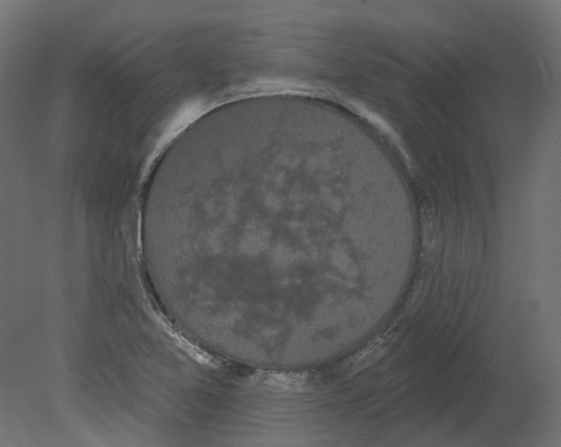 X0000080671365200701121621