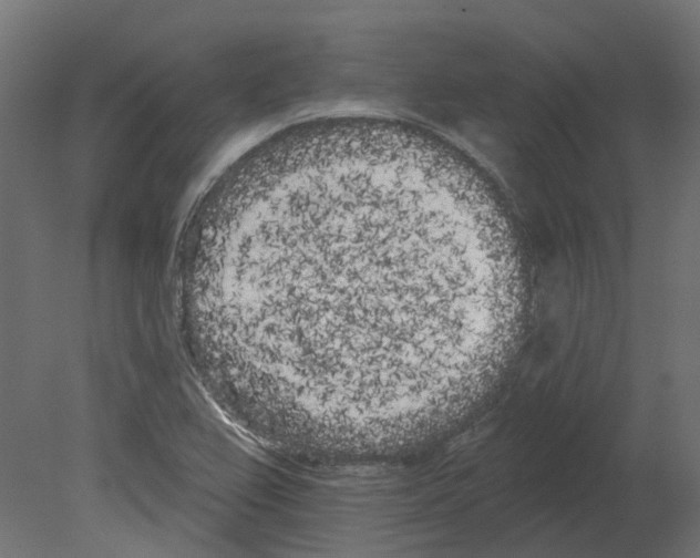 X0000080671367200701121621