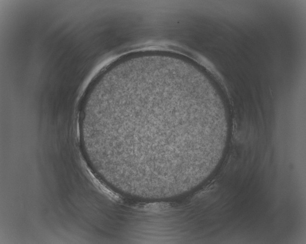 X0000080671368200701121621