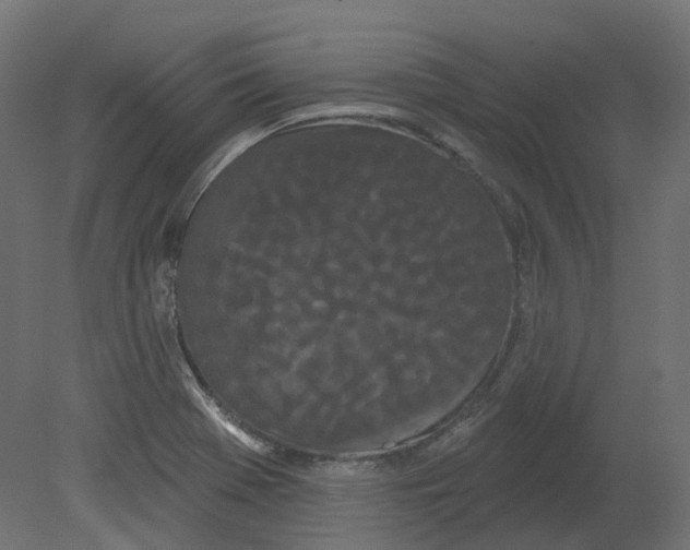 X0000080671369200701121621