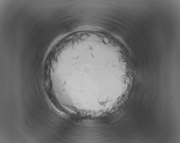 X0000080671371200701121621