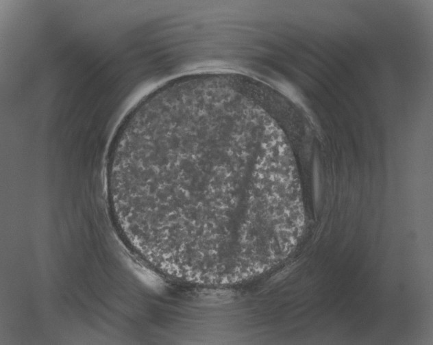 X0000080671372200701121621