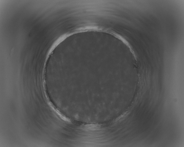 X0000080671373200701121621