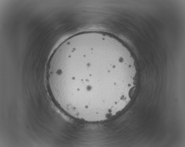 X0000080671374200701121621