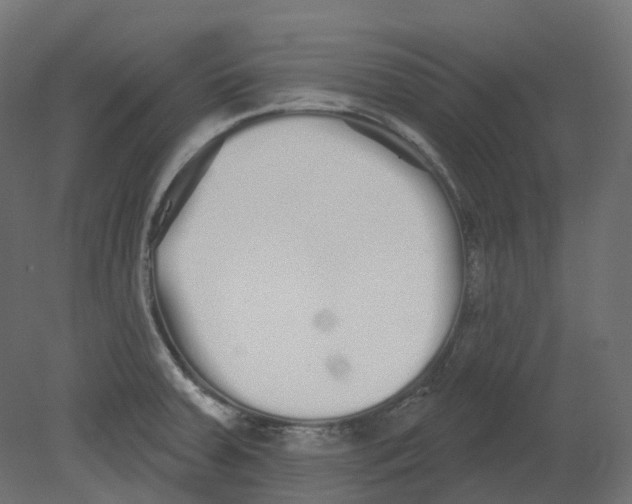 X0000080671379200701121621