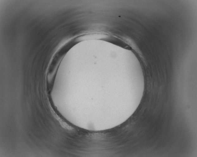 X0000080671380200701121621