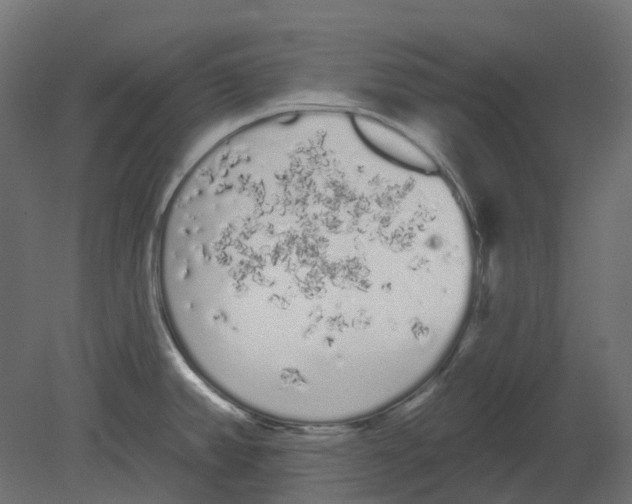 X0000080671382200701121621