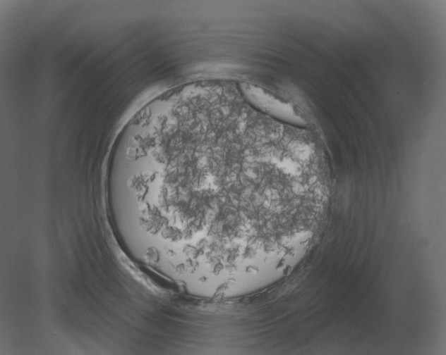 X0000080671386200701121621