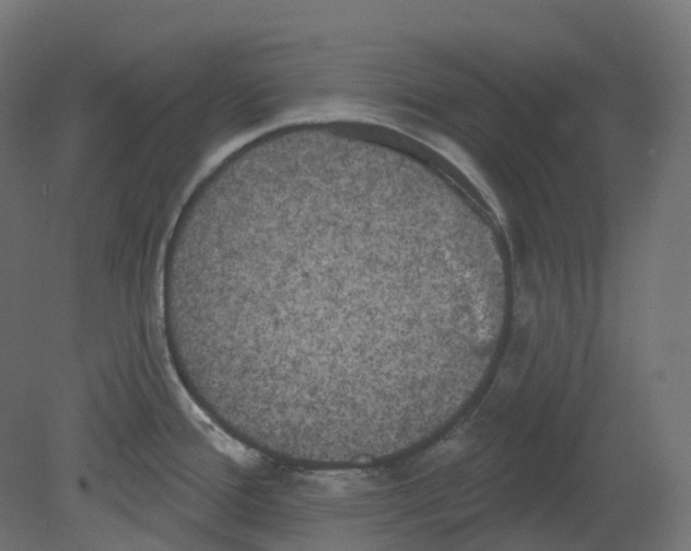 X0000080671388200701121621