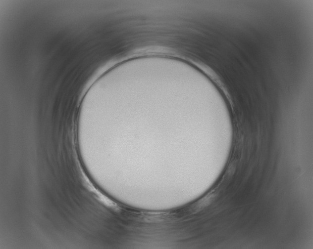 X0000080671390200701121621