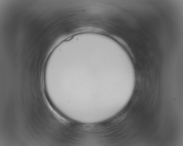 X0000080671391200701121621