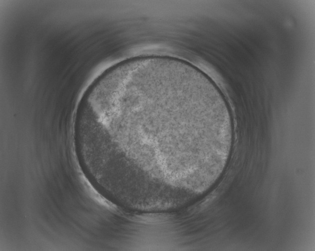 X0000080671392200701121621