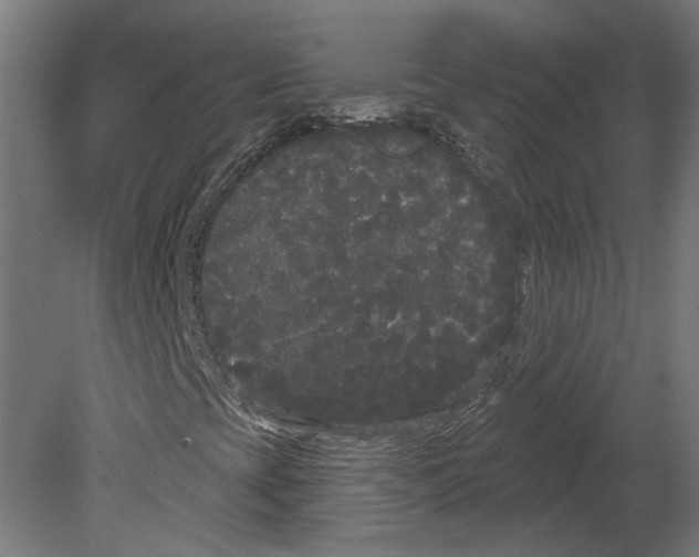 X0000080671393200701121620