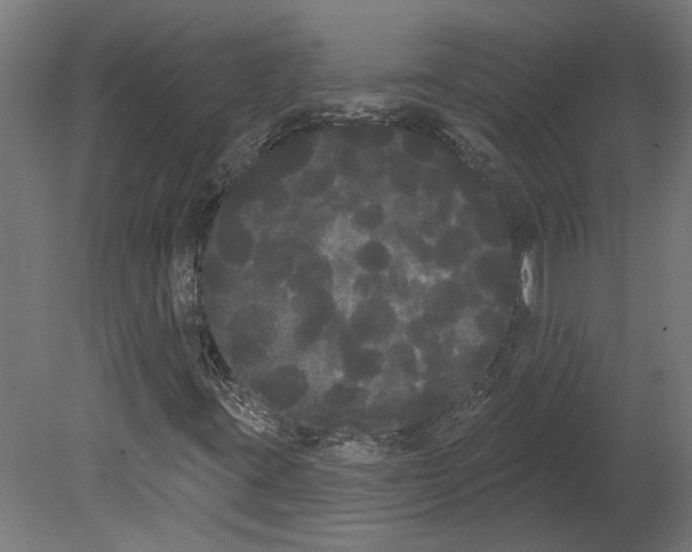 X0000080671395200701121620